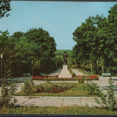 CPI B 11501 CARTE POSTALA - BARLAD. PARCUL