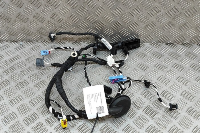 Cablaj ușă st&acirc;nga față VW TIGUAN AD1 2024 OEM: 5NC971161EG 28267838