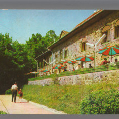 CPIB 15305 - CARTE POSTALA - SOVATA. CABANA "TIVOLI"