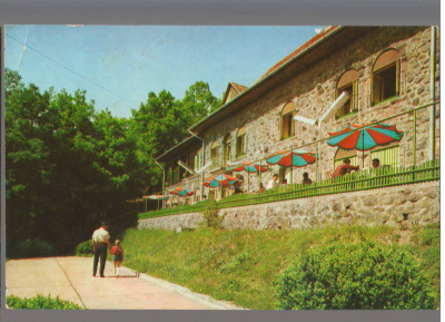 CPIB 15305 - CARTE POSTALA - SOVATA. CABANA &amp;quot;TIVOLI&amp;quot; foto