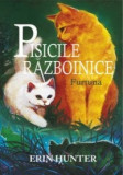 Pisicile Razboinice - Vol 4 - Furtuna