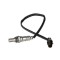 Sonda lambda Delphi ES2028012B1