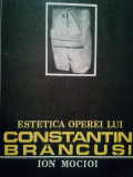 Ion Mocioi - Estetica operei lui Constantin Brancusi