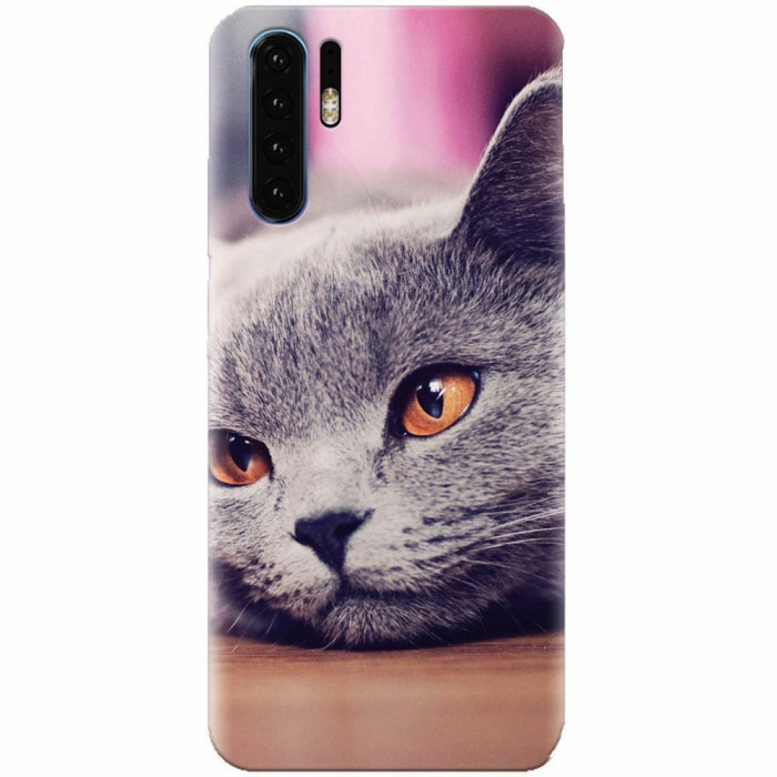 Husa silicon pentru Huawei P30, British Shorthair Cat Yellow Eyes Portrait