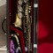 De v&acirc;nzare saxofon