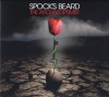Spocks Beard The Archaeoptimist (cd)
