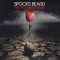 Spocks Beard The Archaeoptimist (cd)