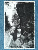 475 - Vurpar Alba / Borberek - Ordog szoros / carte postala Fotofilm, Necirculata, Fotografie