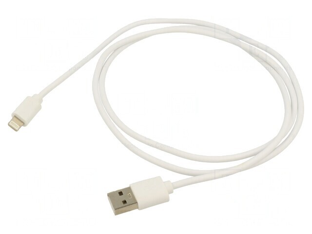 Cablu USB Lightning Apple 1m