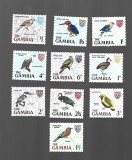 gambia pasari incomplecta sarniera