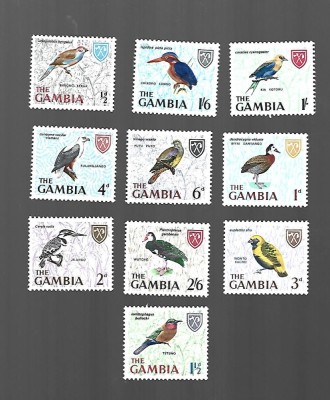 gambia pasari incomplecta sarniera foto