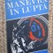 Ion Anghel - Manevra in lupta