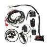 Instalatie Electrica Completa ATV Cross GY6 125cc 150cc +CDI Bujie Bobina Releu Redresor Contact Bloc Lumini Magnetou