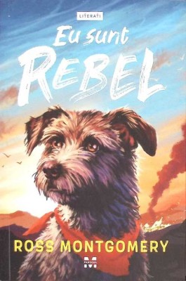 EU SUNT REBEL-ROSS MONTGOMERY-270681 foto