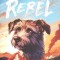 EU SUNT REBEL-ROSS MONTGOMERY-270681