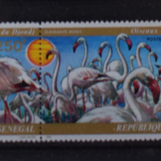 TS24/01 Timbre Senegal - Nestampilat - Pasari Fauna