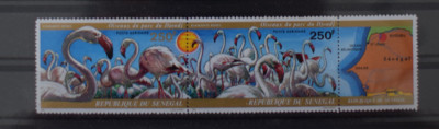 TS24/01 Timbre Senegal - Nestampilat - Pasari Fauna foto