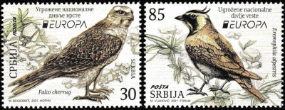 SERBIA 2021 EUROPA CEPT FAUNA SPECII PROTEJATE PASARI foto