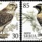 SERBIA 2021 EUROPA CEPT FAUNA SPECII PROTEJATE PASARI