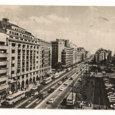 CPI B 11361 CARTE POSTALA - BUCURESTI. B-DUL G-RAL MAGHERU, AUTOBUZE, AUTOTURISM