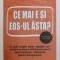 CE MAI E SI EOS - UL ASTA? UN GHID COMPLET PENTRU ANAGAJATII COMPANIILOR CARE FOLOSESC EOS de GINO WICKMAN si TOM BOUWER , 2022