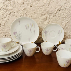 SET DE CAFEA DIN PORTELAN- CROCUS- 5 PERSOANE- MARCAJ JOHANN HAVILAND R BAVARIA