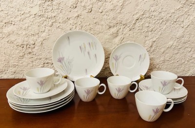 SET DE CAFEA DIN PORTELAN- CROCUS- 5 PERSOANE- MARCAJ JOHANN HAVILAND R BAVARIA foto