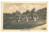 2472 - FOCSANI, Garden, Romania - old postcard - unused