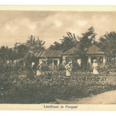 2472 - FOCSANI, Garden, Romania - old postcard - unused