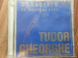 Cd-Tudor Gheorghe-Pe un franc poet-Caragiale