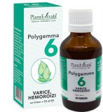 Polygemma 6 varice, hemoroizi 50ml, Plantextrakt