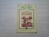 IN TARA NOASTRA VOR RODI LAMAII, PORTOCALII.. - T. Bordeianu (autograf) - 1955, Alta editura