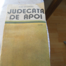 Judecata de apoi-Petre Salcudeanu,1987