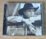 Garth Brooks - Scarecrow CD (2001)