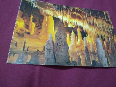 CARTE POSTALA BIHOR-PESTERA URSILOR CHISCAU NECIRCULATA foto