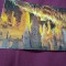 CARTE POSTALA BIHOR-PESTERA URSILOR CHISCAU NECIRCULATA