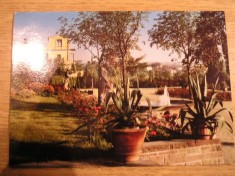 BVS - CARTI POSTALE - GERMANIA 1