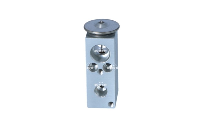 NRF 38551 EASY FIT Supapa expansiune, clima