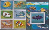 Timbre cu pești din Oceanul Indian, din Comore