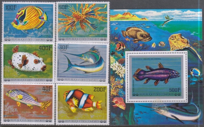 Timbre cu pești din Oceanul Indian, din Comore