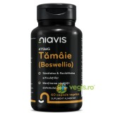 Tamaie (Boswellia) 475mg 60cps