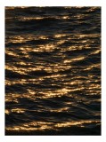 Tablou Canvas, "Lumina aurie dans&acirc;nd pe valuri", Aurora, Valuri, Strălucire, Apă, Reflexie, 26 x 39 cm, CMCLASS