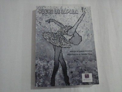 ROCHII DE ZAPADA - DANIELA TOMA foto