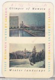 Bnk cld Calendar de buzunar 1966 - ONT - Mamaia - Peisaj iarna