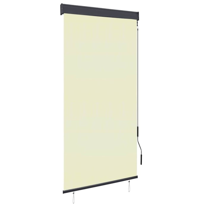 vidaXL Jaluzea tip rulou de exterior, crem, 100 x 250 cm 145959