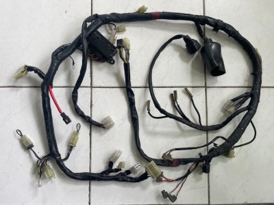 Cablaj Yamaha XJ600 (RJ01) Diversion 1997-2003 4EB-82590-20 foto