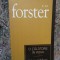 E. M. FORSTER - O CALATORIE IN INDIA