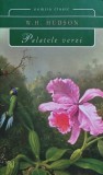 Palatele verzi - W. H. Hudson - Roman clasic - Editura Nemira - 2010 - Brosata - Romana - 369 pagini - Acceptabila