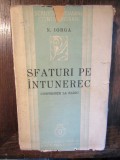 Sfaturi pe &icirc;ntunerec. Conferințe la Radio - Nicolae Iorga