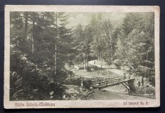 Carte postala necirculata - Baile Slanic-Moldova. La Izvorul nr. 3 foto